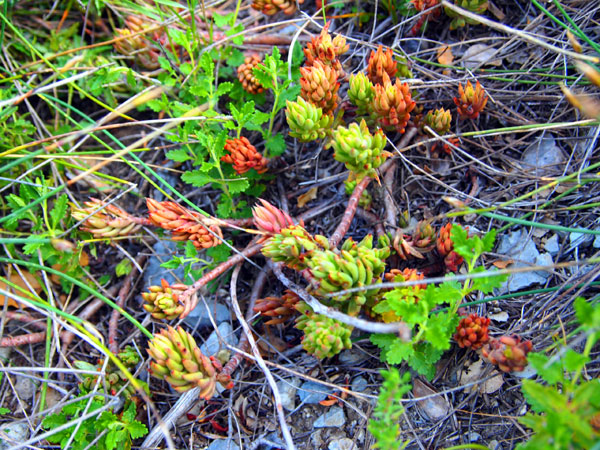 P4172722.jpg