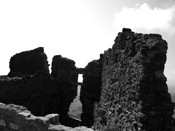 P4172849.jpg