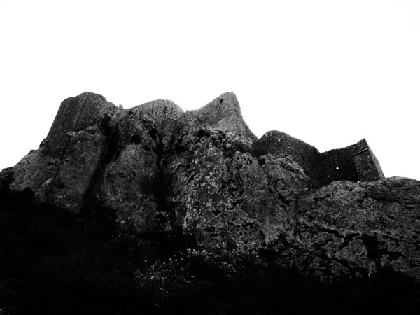 P4172861.jpg