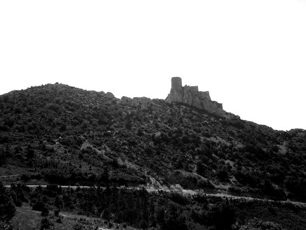 P4172863.jpg