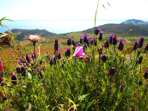 P4183091.jpg