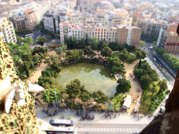P4203544.jpg