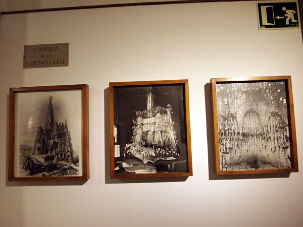 P4203604.jpg