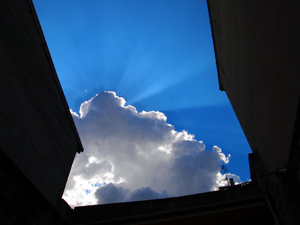 P4253855.jpg