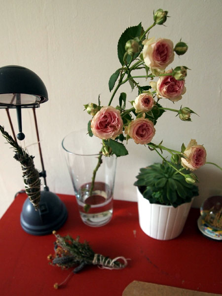 P4273875.jpg
