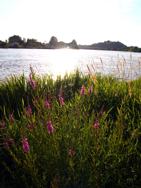 P6134854.jpg