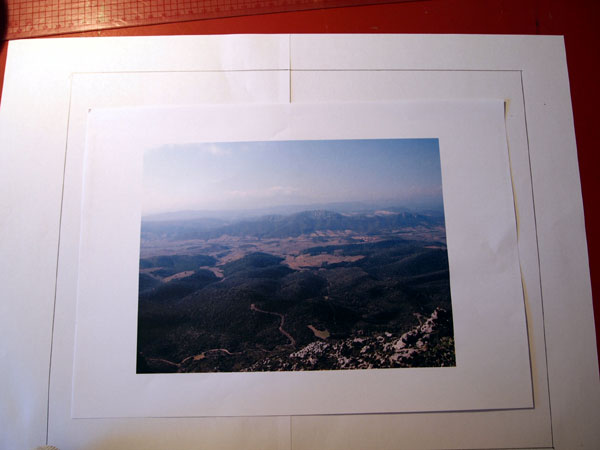 P6194993.jpg