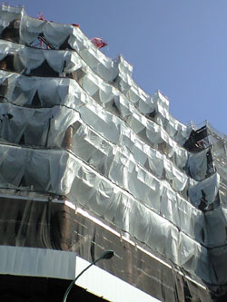 PAP_0041.jpg
