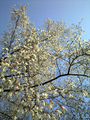 PAP_0050.jpg