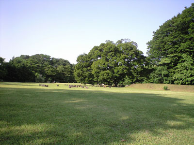 PAP_0055.jpg