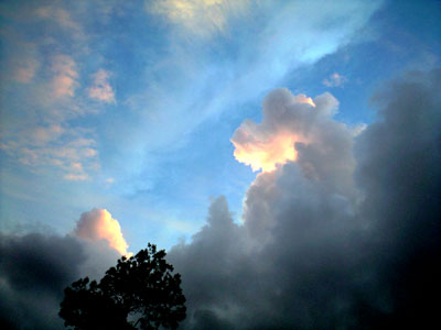 PAP_0058.jpg