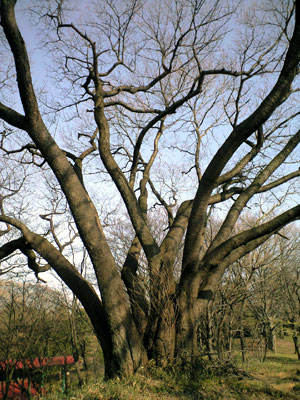 PAP_0069.jpg