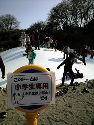 PAP_0071.jpg