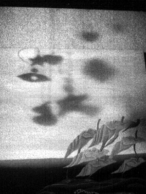 PAP_0194.jpg