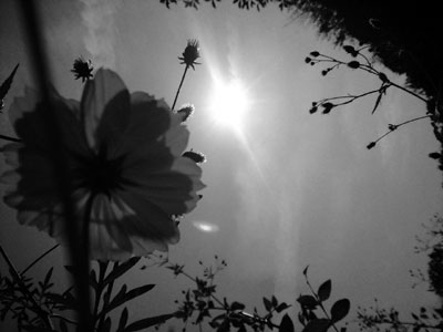 PAP_0329.jpg