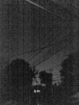 PAP_0443.jpg