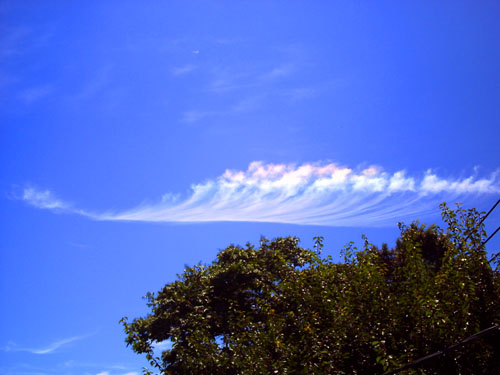 PICT0060.jpg
