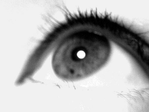 PICT0080.jpg
