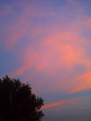 PICT0081.jpg