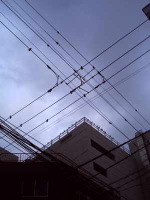 PICT0128.jpg