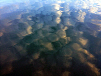 PICT0319.jpg