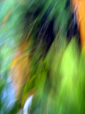 PICT0339.jpg
