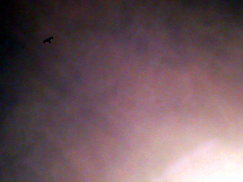 PICT0479.jpg
