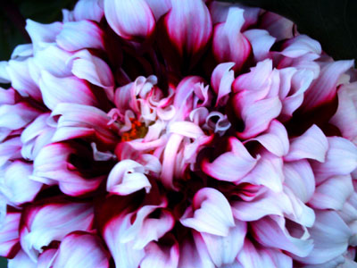 PICT0526.jpg