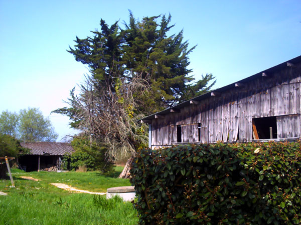 PICT0673.jpg