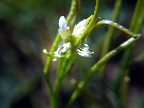 PICT0680.jpg