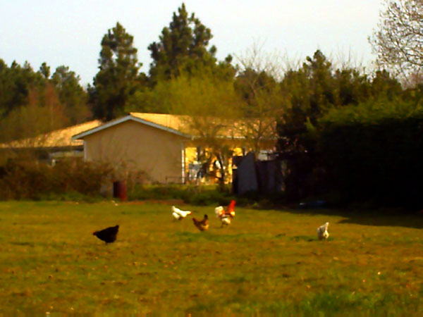 PICT0689.jpg