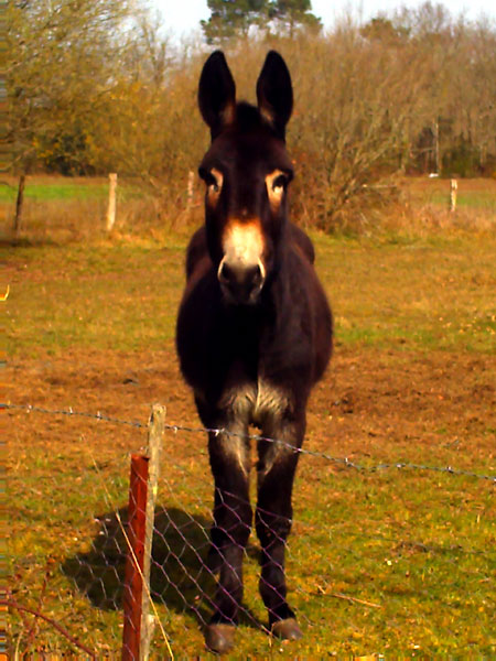 PICT0693.jpg