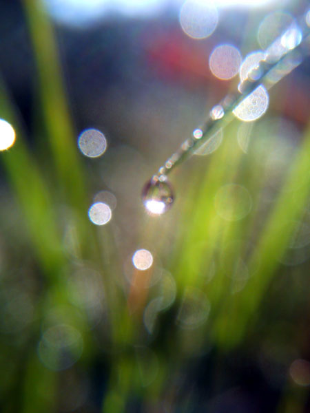 PICT0706.jpg
