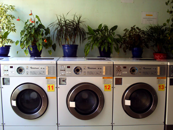 PICT0727.jpg