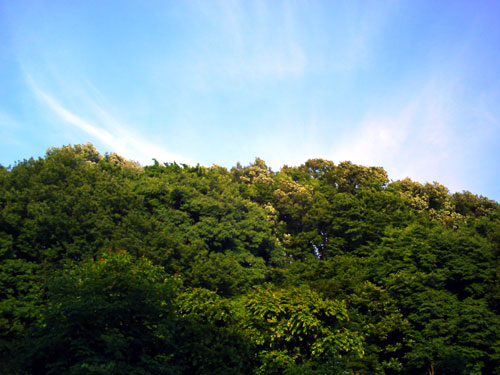PICT0780.jpg