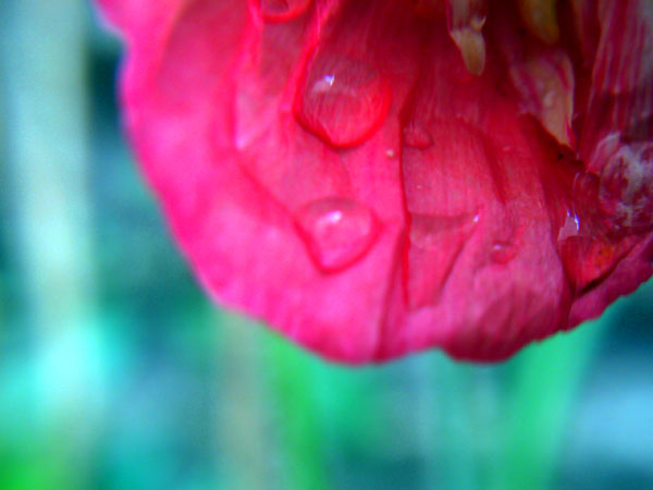 PICT0783.jpg
