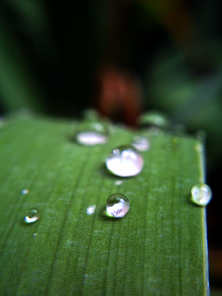 PICT0792.jpg