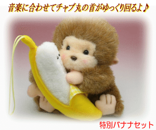 img48053806.gif