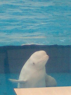 070627_1523〜0001.jpg