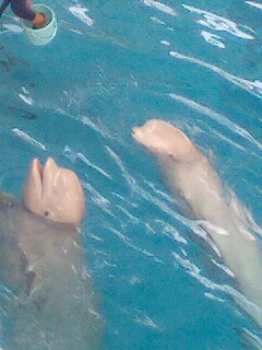070627_1543〜0002.jpg