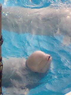 070627_1543〜0001.jpg