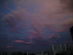 CA390318001.JPG