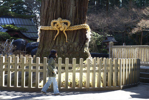 kawaguchiko8.jpg