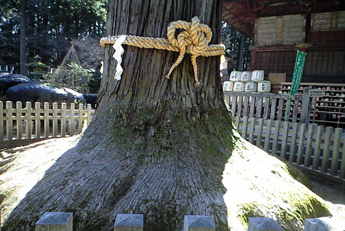 kawaguchiko9.jpg