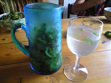 mintwater.jpg