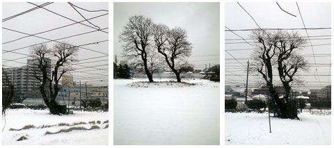 neige1.jpg