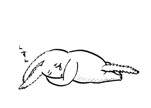 sleepers_04.jpg
