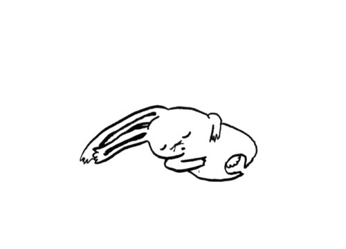 sleepers_30.jpg